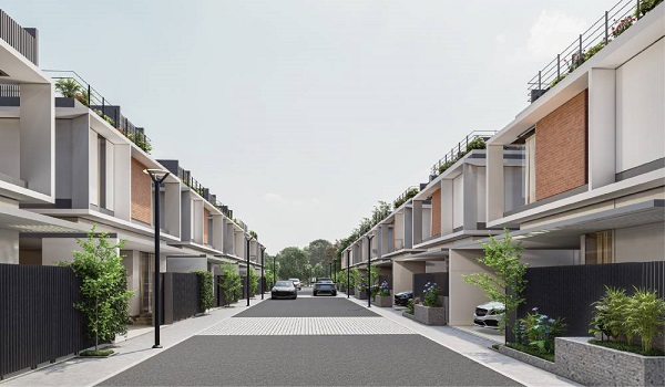 Merusri Sunlit Grove